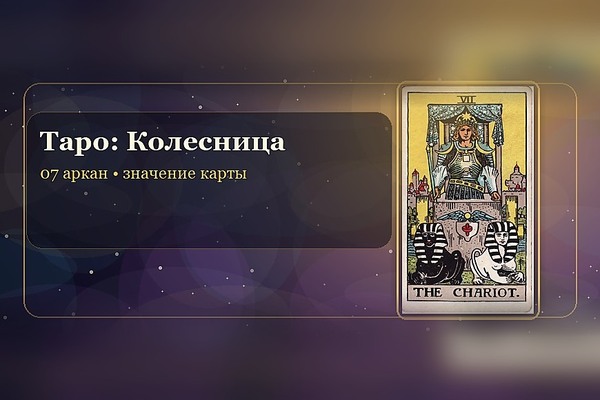 Значение карты Таро «Колесница» (7 аркан)